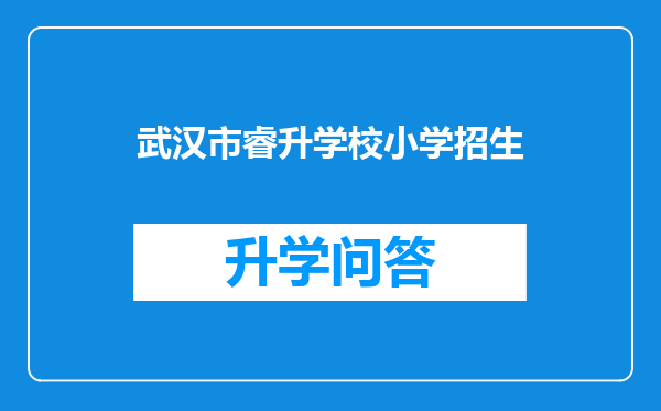 武汉市睿升学校小学招生