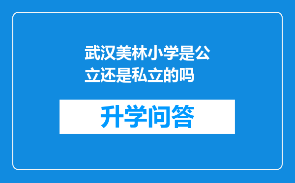 武汉美林小学是公立还是私立的吗