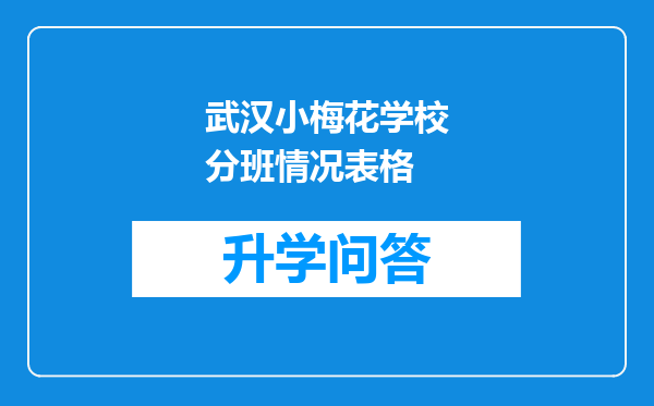 武汉小梅花学校分班情况表格