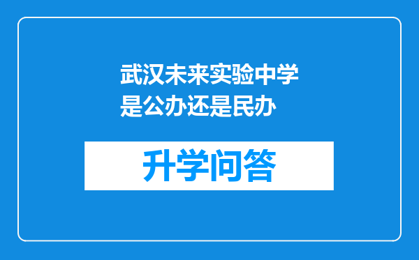 武汉未来实验中学是公办还是民办