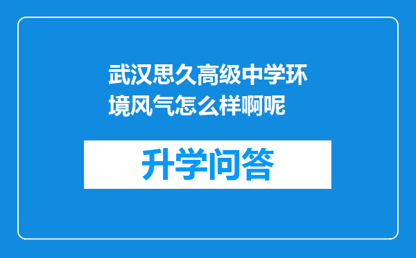 武汉思久高级中学环境风气怎么样啊呢