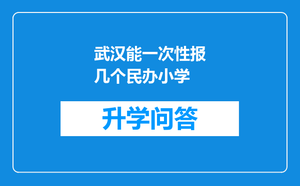 武汉能一次性报几个民办小学