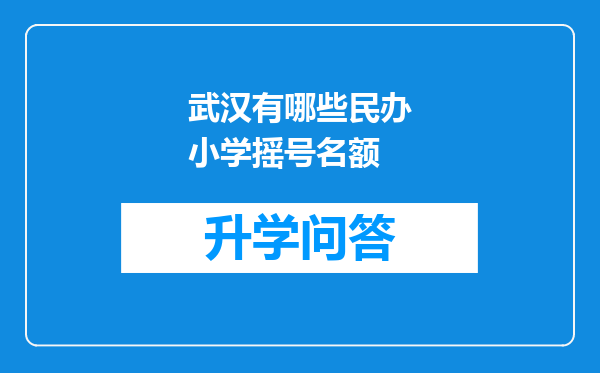 武汉有哪些民办小学摇号名额