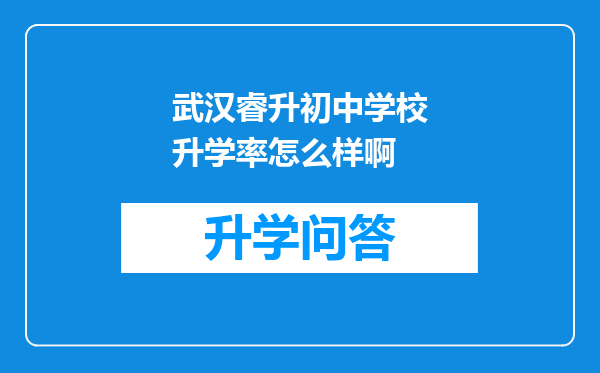 武汉睿升初中学校升学率怎么样啊