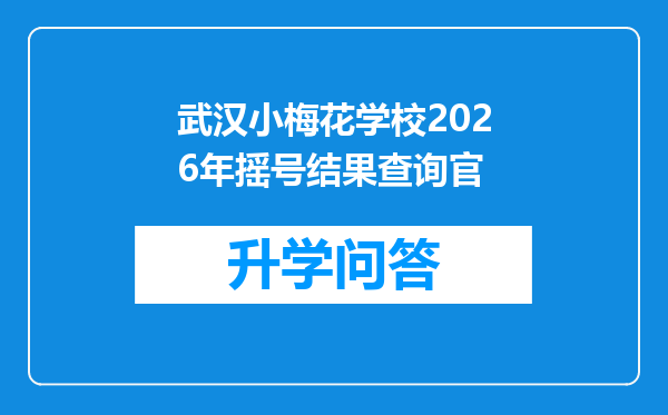 武汉小梅花学校2026年摇号结果查询官