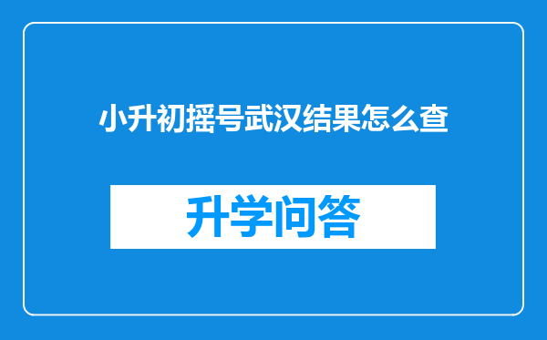 小升初摇号武汉结果怎么查