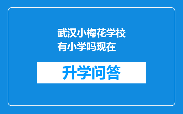 武汉小梅花学校有小学吗现在