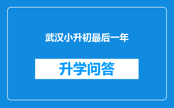 武汉小升初最后一年
