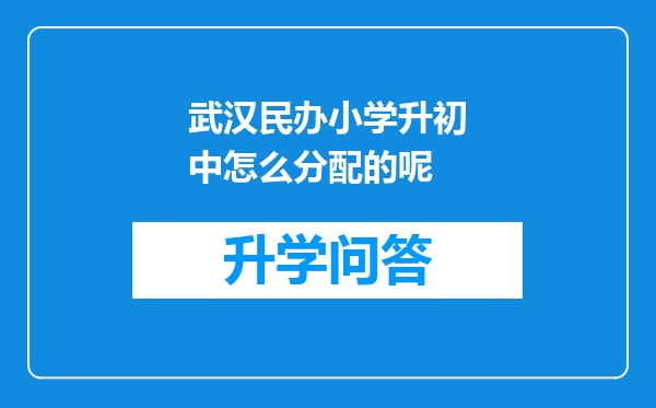 武汉民办小学升初中怎么分配的呢
