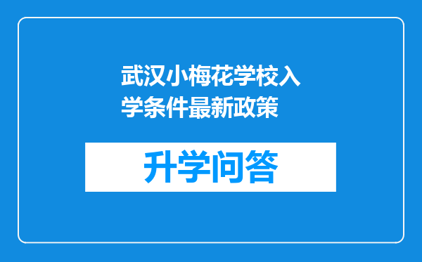 武汉小梅花学校入学条件最新政策