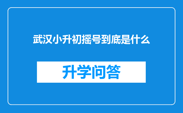 武汉小升初摇号到底是什么