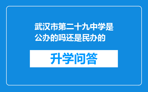 武汉市第二十九中学是公办的吗还是民办的