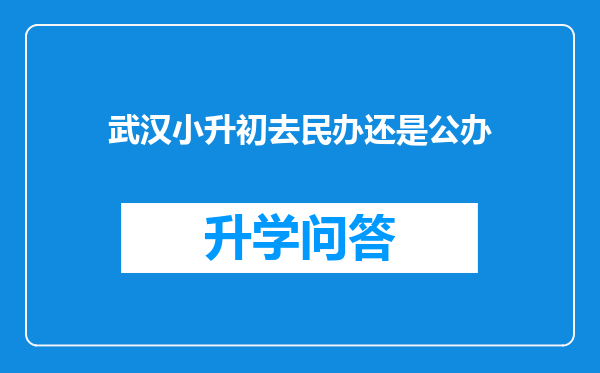 武汉小升初去民办还是公办