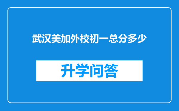 武汉美加外校初一总分多少