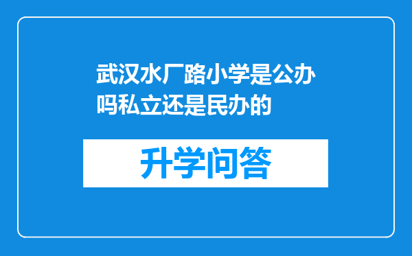 武汉水厂路小学是公办吗私立还是民办的