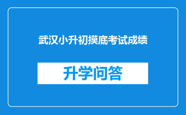 武汉小升初摸底考试成绩