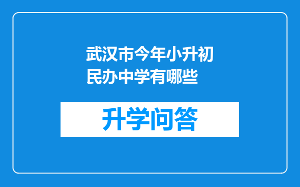 武汉市今年小升初民办中学有哪些