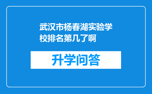 武汉市杨春湖实验学校排名第几了啊