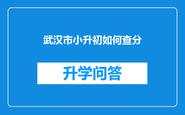 武汉市小升初如何查分