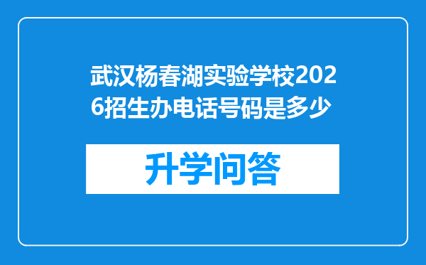 武汉杨春湖实验学校2026招生办电话号码是多少
