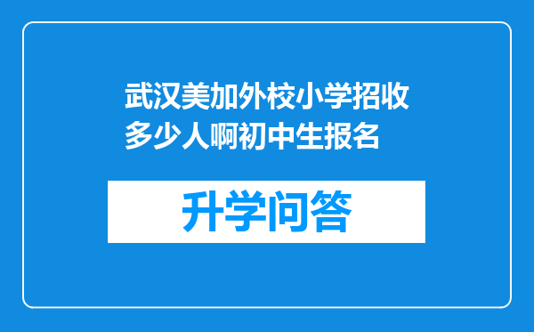 武汉美加外校小学招收多少人啊初中生报名