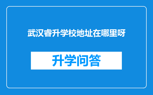武汉睿升学校地址在哪里呀