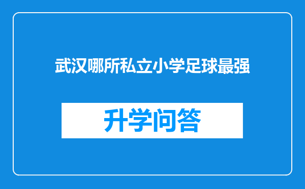 武汉哪所私立小学足球最强