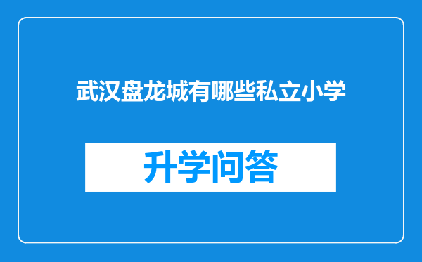 武汉盘龙城有哪些私立小学