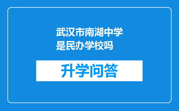 武汉市南湖中学是民办学校吗