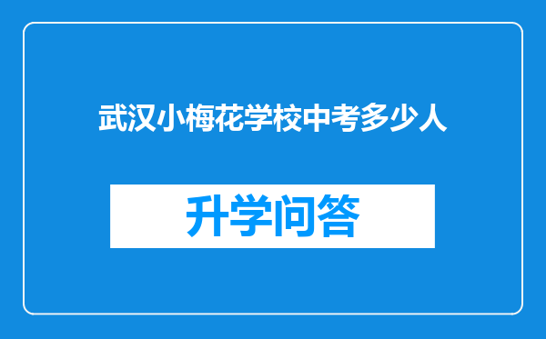武汉小梅花学校中考多少人